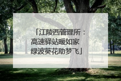 江陵西管理所：高速驿站暖如家 绿波葵花助梦飞