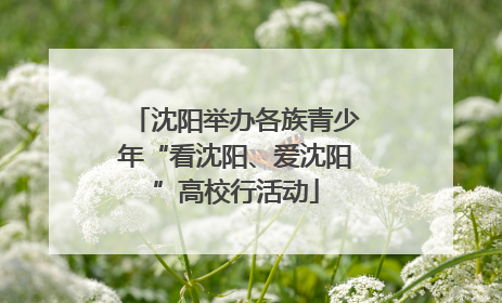 沈阳举办各族青少年“看沈阳、爱沈阳”高校行活动