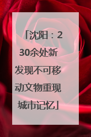 沈阳：230余处新发现不可移动文物重现城市记忆