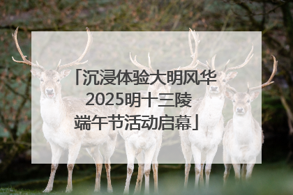 沉浸体验大明风华 2025明十三陵端午节活动启幕