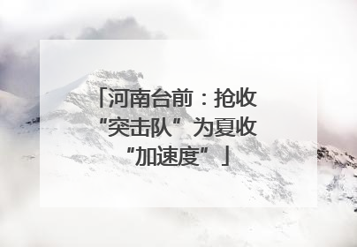 河南台前：抢收“突击队”为夏收“加速度”