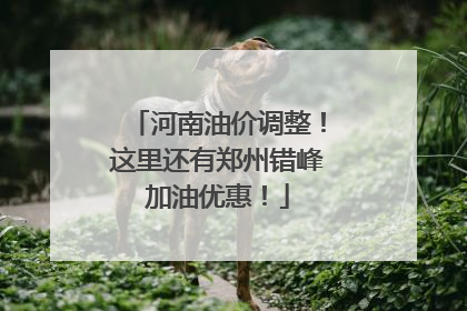 河南油价调整！这里还有郑州错峰加油优惠！