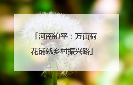 河南镇平：万亩荷花铺就乡村振兴路