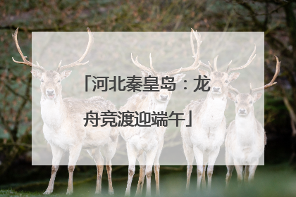 河北秦皇岛：龙舟竞渡迎端午