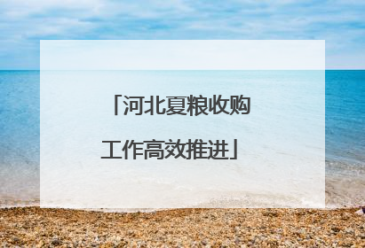 河北夏粮收购工作高效推进
