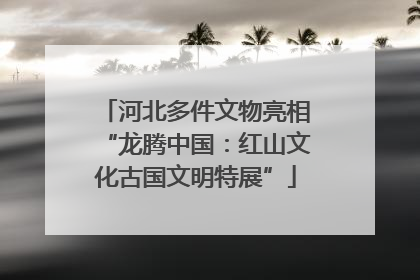 河北多件文物亮相“龙腾中国：红山文化古国文明特展”