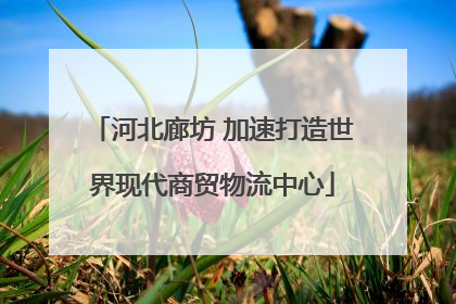 河北廊坊 加速打造世界现代商贸物流中心