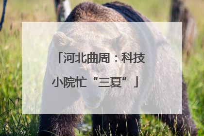 河北曲周：科技小院忙“三夏”