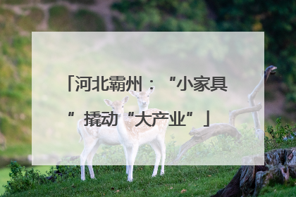 河北霸州：“小家具”撬动“大产业”