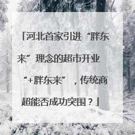 河北首家引进“胖东来”理念的超市开业 “+胖东来”，传统商超能否成功突围？