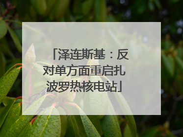 泽连斯基：反对单方面重启扎波罗热核电站