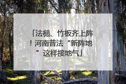 法槌、竹板齐上阵！河南普法“新阵地”这样接地气