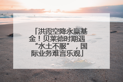 洪霞空降永赢基金！贝莱德时期遇“水土不服”，国际业务难言乐观