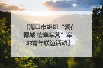 海口市组织“爱在椰城 情牵军营”军地青年联谊活动