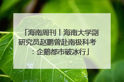 海南周刊丨海南大学副研究员赵鹏曾赴南极科考：企鹅都市破冰行