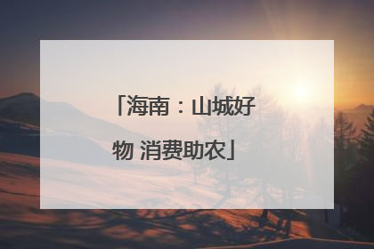 海南：山城好物 消费助农