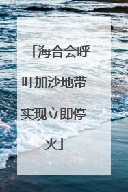 海合会呼吁加沙地带实现立即停火