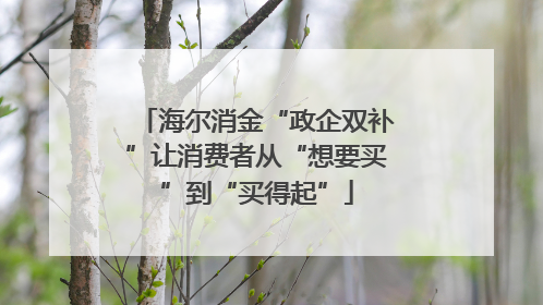 海尔消金“政企双补”让消费者从“想要买”到“买得起”