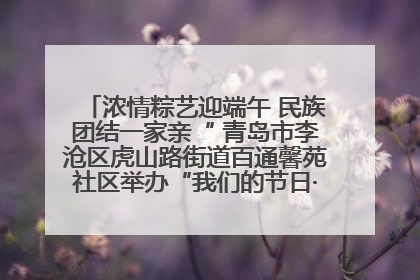浓情粽艺迎端午 民族团结一家亲“ 青岛市李沧区虎山路街道百通馨苑社区举办“我们的节日·端午“主题活动