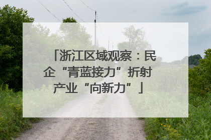 浙江区域观察：民企“青蓝接力”折射产业“向新力”