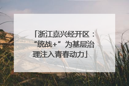 浙江嘉兴经开区：“统战+”为基层治理注入青春动力