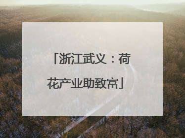 浙江武义：荷花产业助致富