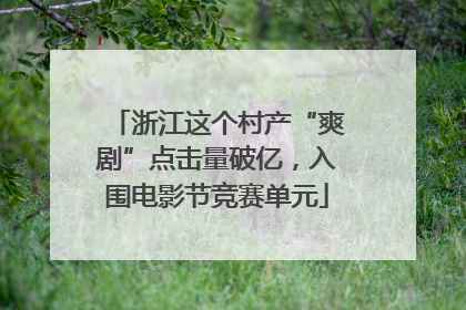 浙江这个村产“爽剧”点击量破亿，入围电影节竞赛单元