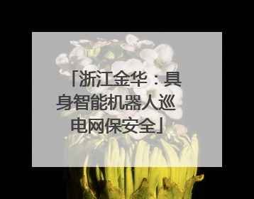 浙江金华：具身智能机器人巡电网保安全