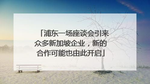 浦东一场座谈会引来众多新加坡企业，新的合作可能也由此开启