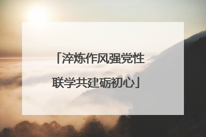 淬炼作风强党性 联学共建砺初心