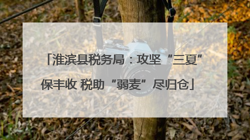 淮滨县税务局：攻坚“三夏”保丰收 税助“弱麦”尽归仓