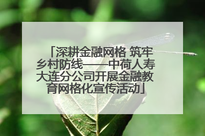 深耕金融网格 筑牢乡村防线——中荷人寿大连分公司开展金融教育网格化宣传活动