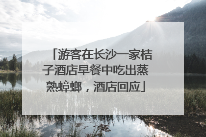 游客在长沙一家桔子酒店早餐中吃出蒸熟蟑螂，酒店回应