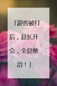 游客被打后，县长开会，全县整治！