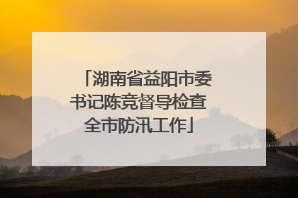 湖南省益阳市委书记陈竞督导检查全市防汛工作