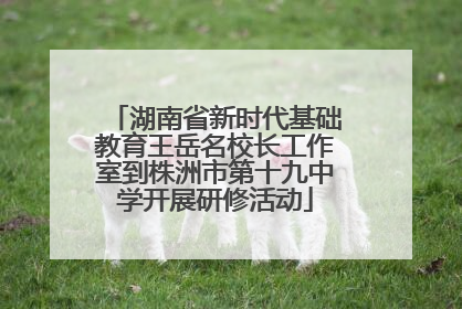 湖南省新时代基础教育王岳名校长工作室到株洲市第十九中学开展研修活动