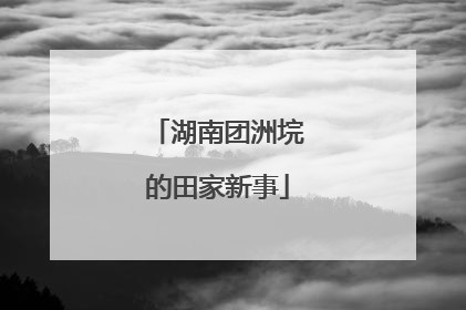 湖南团洲垸的田家新事