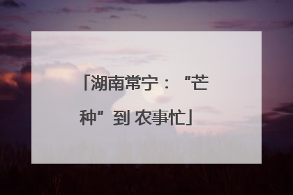 湖南常宁：“芒种”到 农事忙