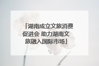 湖南成立文旅消费促进会 助力湖南文旅融入国际市场