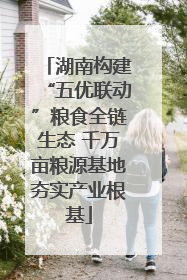 湖南构建“五优联动”粮食全链生态 千万亩粮源基地夯实产业根基