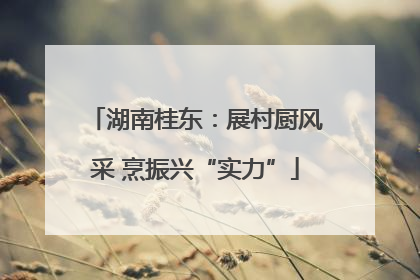 湖南桂东：展村厨风采 烹振兴“实力”