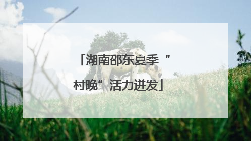 湖南邵东夏季“村晚”活力迸发