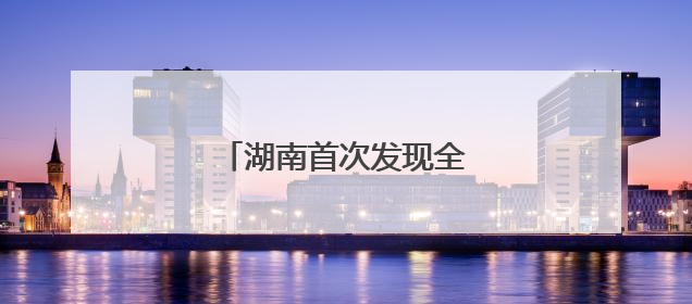 湖南首次发现全新世大熊猫化石