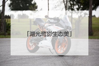 湖光鹭影生态美