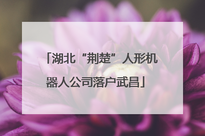 湖北“荆楚”人形机器人公司落户武昌