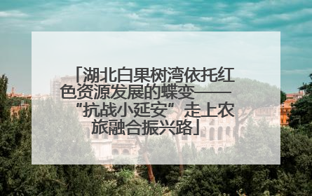 湖北白果树湾依托红色资源发展的蝶变——“抗战小延安”走上农旅融合振兴路