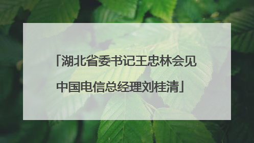 湖北省委书记王忠林会见中国电信总经理刘桂清