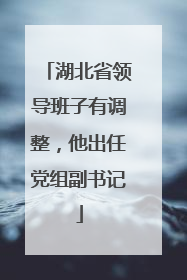 湖北省领导班子有调整，他出任党组副书记