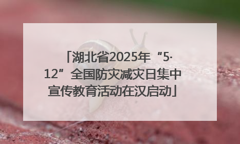 湖北省2025年“5·12”全国防灾减灾日集中宣传教育活动在汉启动