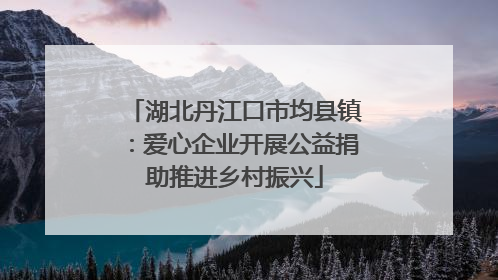 湖北丹江口市均县镇：爱心企业开展公益捐助推进乡村振兴